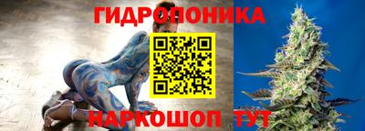 мдпв Ачхой-Мартан