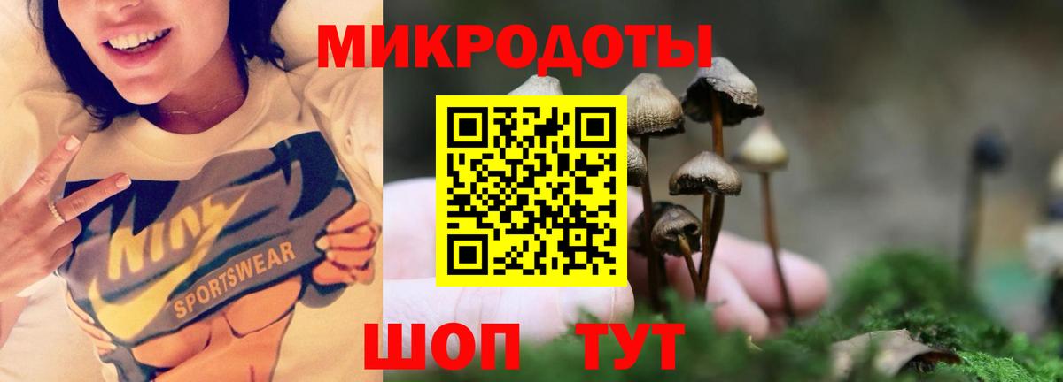 Псилоцибиновые грибы Psilocybine cubensis  Вход с VPN  где можно купить наркотик  Воронеж 